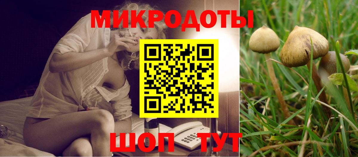 Галлюциногенные грибы GOLDEN TEACHER  Вход с VPN  Псилоцибиновые грибы прущие грибы  купить   Ипатово 